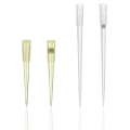 Factory Supply 100ul/200ul Pipette Tips With Filter